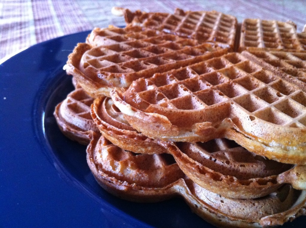 Gluten Free Geek » Thermomix